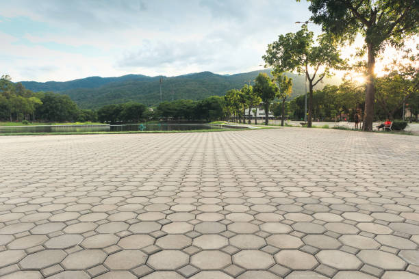 Best Driveway Paver Repair  in Cadott, WI